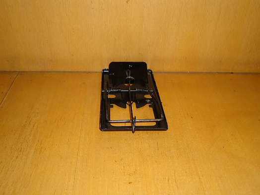 別克商務(wù)陸尊